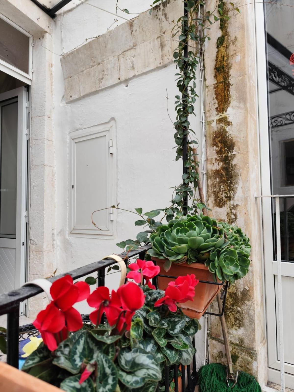 Le Mie Meraviglie Martina Franca Exterior photo
